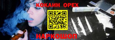 дурь Кингисепп