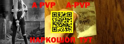 дурь Кингисепп